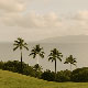 Hale Hoku